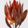 Artificial Flower Protea cynaroides single stem GS-35124020-O1_5 Artificial Flower 26*26*90cm Protea cynaroides single stem GS-35124020-O1 2024Dec YeahFlower is one of Chinese leading OEM manufacturers and exporters , supplying the silk flowers, wholesale artificial trees