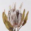 Artificial Flower 26*26*90cm Protea cynaroides single stem GS-35124020-W1 2024Dec YeahFlower is one of Chinese leading OEM manufacturers and exporters , supplying the silk flowers, wholesale artificial trees
