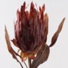 Artificial Flower 26*26*90cm Protea cynaroides single stem GS-35124020 2024Dec YeahFlower is one of Chinese leading OEM manufacturers and exporters , supplying the silk flowers, wholesale artificial trees