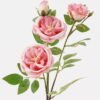 Artificial Flower Rose 4 single stem GS-76824003-P1_5 Artificial Flower 16*16*64cm Rose *4 single stem GS-76824003-P1 2025Feb YeahFlower is one of Chinese leading OEM manufacturers and exporters , supplying the silk flowers, wholesale artificial trees
