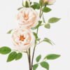 Artificial Flower Rose 4 single stem GS-76824003-W2_2 Artificial Flower 16*16*64cm Rose *4 single stem GS-76824003-W2 2025Feb YeahFlower is one of Chinese leading OEM manufacturers and exporters , supplying the silk flowers, wholesale artificial trees