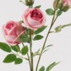 Artificial Flower Rose 4 single stem GS-76824005_2 Artificial Flower 17*17*65cm Rose *4 single stem GS-76824005 2025Feb YeahFlower is one of Chinese leading OEM manufacturers and exporters , supplying the silk flowers, wholesale artificial trees