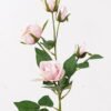 Artificial Flower 16*16*70cm Rose *5 single stem GS-14324004-P2 Single Flowers 3,000+ sqm showroom with thousands of artificial flowers, plants & trees ready for global sourcing.