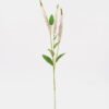 Artificial Flower 7*4*60cm Salvia*Bush 3 GS-63624006-P1 2025Jan 3,000+ sqm showroom with thousands of artificial flowers, plants & trees ready for global sourcing.
