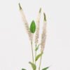 Artificial Flower 7*4*60cm Salvia*Bush 3 GS-63624006-P1 2025Jan 3,000+ sqm showroom with thousands of artificial flowers, plants & trees ready for global sourcing.