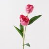 Artificial Flower 28*28*72cm  Tulip *2 single stem GS-70724021-R1 2025Feb YeahFlower is one of Chinese leading OEM manufacturers and exporters , supplying the silk flowers, wholesale artificial trees