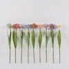 Artificial Flower 9*9*50cm Tulip single stem GS-14524054 2024Dec YeahFlower is one of Chinese leading OEM manufacturers and exporters , supplying the silk flowers, wholesale artificial trees