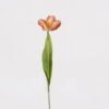 Artificial Flower 9*9*50cm Tulip single stem GS-14524054 2024Dec YeahFlower is one of Chinese leading OEM manufacturers and exporters , supplying the silk flowers, wholesale artificial trees