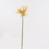 Artificial Flower 18*18*82cm White lotus single stem GS-14524057 2024Dec YeahFlower is one of Chinese leading OEM manufacturers and exporters , supplying the silk flowers, wholesale artificial trees