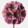 Artificial Flower Windmill fruit Single stem GS-39121031-Z1_1 Artificial Flower 11*55cm Windmill fruit Single stem GS-39121031-Z1 2024Dec YeahFlower is one of Chinese leading OEM manufacturers and exporters , supplying the silk flowers, wholesale artificial trees