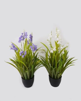 Artificial Grass 35*35*50cm Canterburybells *7 in PP pot GS-61924089 2025Jan YeahFlower is one of Chinese leading OEM manufacturers and exporters , supplying the silk flowers, wholesale artificial trees Artificial Grass 35*35*50cm Canterburybells *7 in PP pot GS-61924089 2025Jan YeahFlower is one of Chinese leading OEM manufacturers and exporters , supplying the silk flowers, wholesale artificial trees