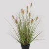 Artificial Grass 35*35*51cm Grass *11 in PP pot GS-61924074 2025Jan YeahFlower is one of Chinese leading OEM manufacturers and exporters , supplying the silk flowers, wholesale artificial trees
