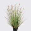 Artificial Grass 50*50*65cm Grass *14 in PP pot GS-61924073-G2 2025Jan YeahFlower is one of Chinese leading OEM manufacturers and exporters , supplying the silk flowers, wholesale artificial trees