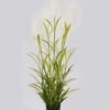 Artificial Grass 43*43*120cm Grass *5 in PP pot GS-61924080 2025Jan YeahFlower is one of Chinese leading OEM manufacturers and exporters , supplying the silk flowers, wholesale artificial trees