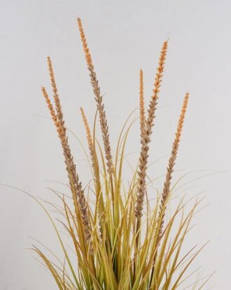 Artificial Grass 46*46*90cm Grass *7 in PP pot GS-61924082 2025Jan YeahFlower is one of Chinese leading OEM manufacturers and exporters , supplying the silk flowers, wholesale artificial trees Artificial Grass 46*46*90cm Grass *7 in PP pot GS-61924082 2025Jan YeahFlower is one of Chinese leading OEM manufacturers and exporters , supplying the silk flowers, wholesale artificial trees