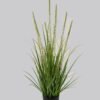 Artificial Grass 46*46*90cm Grass *7 in PP pot GS-61924082 2025Jan YeahFlower is one of Chinese leading OEM manufacturers and exporters , supplying the silk flowers, wholesale artificial trees