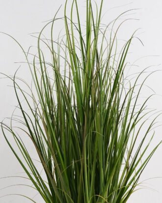 Artificial Grass 40*40*60cm Grass in PP pot GS-29424123 2024Dec YeahFlower is one of Chinese leading OEM manufacturers and exporters , supplying the silk flowers, wholesale artificial trees