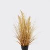 Artificial Grass 45*45*60cm Pampus reed  *3 in PP pot GS-61924069-Y1 2025Jan YeahFlower is one of Chinese leading OEM manufacturers and exporters , supplying the silk flowers, wholesale artificial trees