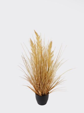 Artificial Grass 55*55*90cm Pampus reed  *5 in PP pot GS-61924068-Y1 2025Jan 3,000+ sqm showroom with thousands of artificial flowers, plants & trees ready for global sourcing.