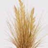 Artificial Grass 45*45*60cm Pampus reed  *3 in PP pot GS-61924069-Y1 2025Jan YeahFlower is one of Chinese leading OEM manufacturers and exporters , supplying the silk flowers, wholesale artificial trees