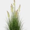 Artificial Grass Pampus reed 7 in PP pot GS-61924067_4 Artificial Grass 70*70*120cm Pampus reed *7 in PP pot GS-61924067 2025Jan YeahFlower is one of Chinese leading OEM manufacturers and exporters , supplying the silk flowers, wholesale artificial trees
