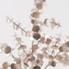 Artificial Plant 64cm Eucalyptus (loanword) single stem GS-54024087 2025Jan YeahFlower is one of Chinese leading OEM manufacturers and exporters , supplying the silk flowers, wholesale artificial trees