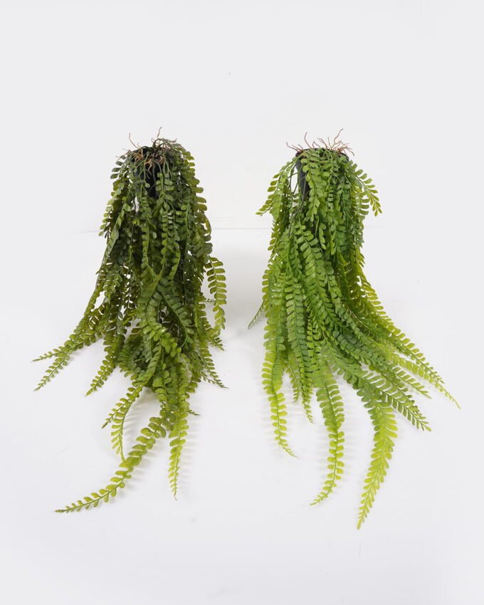 Artificial Plant 30*30*62cm Adiantum flabellulatum plant in pp pot GS-05524034 Banners&Garlands YeahFlower is one of Chinese leading OEM manufacturers and exporters , supplying the silk flowers, wholesale artificial trees