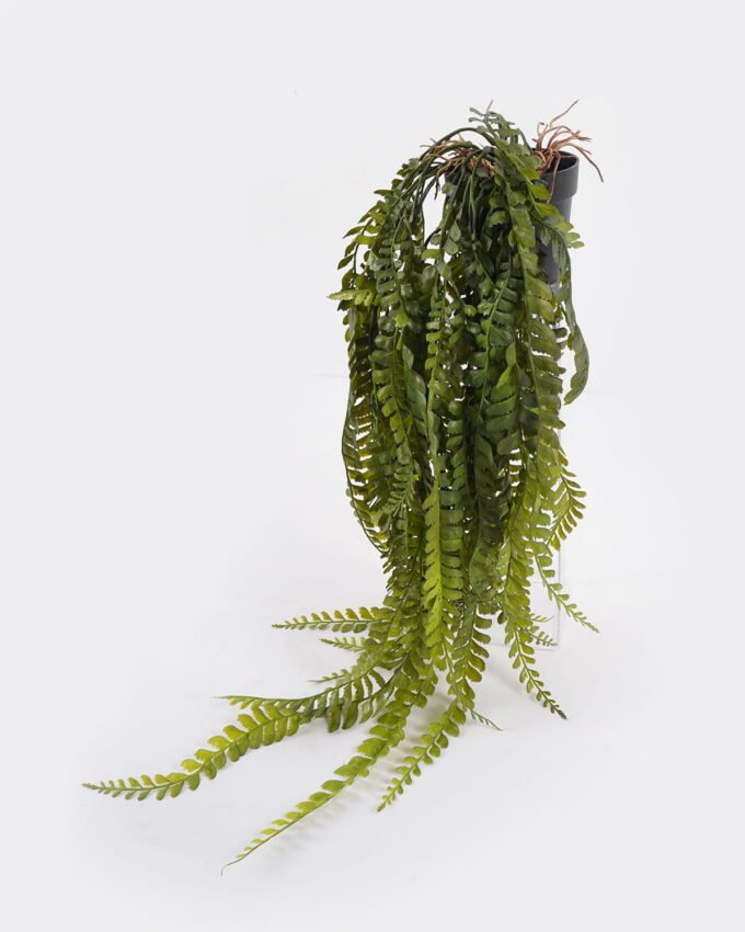 Artificial Plant 30*30*62cm Adiantum flabellulatum plant in pp pot GS-05524034 Banners&Garlands YeahFlower is one of Chinese leading OEM manufacturers and exporters , supplying the silk flowers, wholesale artificial trees