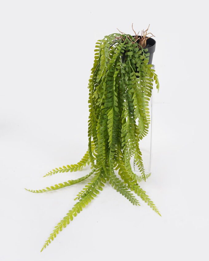 Artificial Plant 30*30*62cm Adiantum flabellulatum plant in pp pot GS-05524034 Banners&Garlands YeahFlower is one of Chinese leading OEM manufacturers and exporters , supplying the silk flowers, wholesale artificial trees