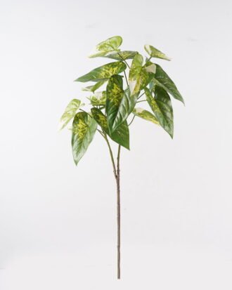 Artificial Plant 42*42*116cm Alocasia *2 single stem/17 lvs GS-14524067 2024Dec YeahFlower is one of Chinese leading OEM manufacturers and exporters , supplying the silk flowers, wholesale artificial trees