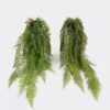 Artificial Plant 25*25*60cm Alsophila spinulosa plant in pp pot GS-05524039 Banners&Garlands YeahFlower is one of Chinese leading OEM manufacturers and exporters , supplying the silk flowers, wholesale artificial trees