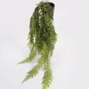 Artificial Plant 25*25*60cm Alsophila spinulosa plant in pp pot GS-05524039 Banners&Garlands YeahFlower is one of Chinese leading OEM manufacturers and exporters , supplying the silk flowers, wholesale artificial trees