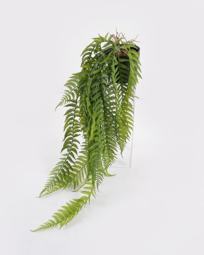 Artificial Plant 25*25*60cm Alsophila spinulosa plant in pp pot GS-05524039 Banners&Garlands YeahFlower is one of Chinese leading OEM manufacturers and exporters , supplying the silk flowers, wholesale artificial trees