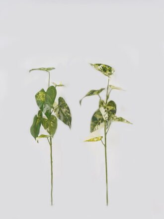 Artificial Plant 31*31*83cm Roundleaf  single stem GS-14524026 Leaves&Sprays&Foliages 3,000+ sqm showroom with thousands of artificial flowers, plants & trees ready for global sourcing.