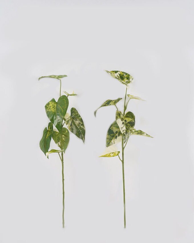 Artificial Plant 28*28*74cm Anthurium  single stem GS-14524027 2024Dec YeahFlower is one of Chinese leading OEM manufacturers and exporters , supplying the silk flowers, wholesale artificial trees