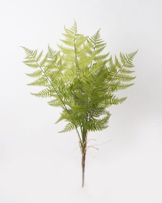 Artificial Plant 55*55*92cm Asplenium laciniatum Don bush/12 lvs GS-72424012 2025Feb YeahFlower is one of Chinese leading OEM manufacturers and exporters , supplying the silk flowers, wholesale artificial trees Artificial Plant 55*55*92cm Asplenium laciniatum Don bush/12 lvs GS-72424012 2025Feb YeahFlower is one of Chinese leading OEM manufacturers and exporters , supplying the silk flowers, wholesale artificial trees