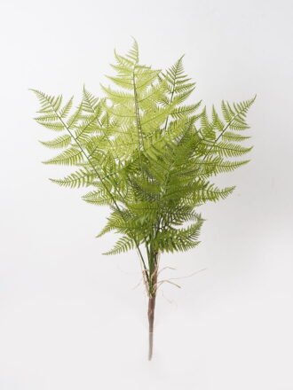 Artificial Plant 40*40*53cm Asplenium laciniatum Don  bush/7 lvs GS-72424013 2025Feb 3,000+ sqm showroom with thousands of artificial flowers, plants & trees ready for global sourcing.