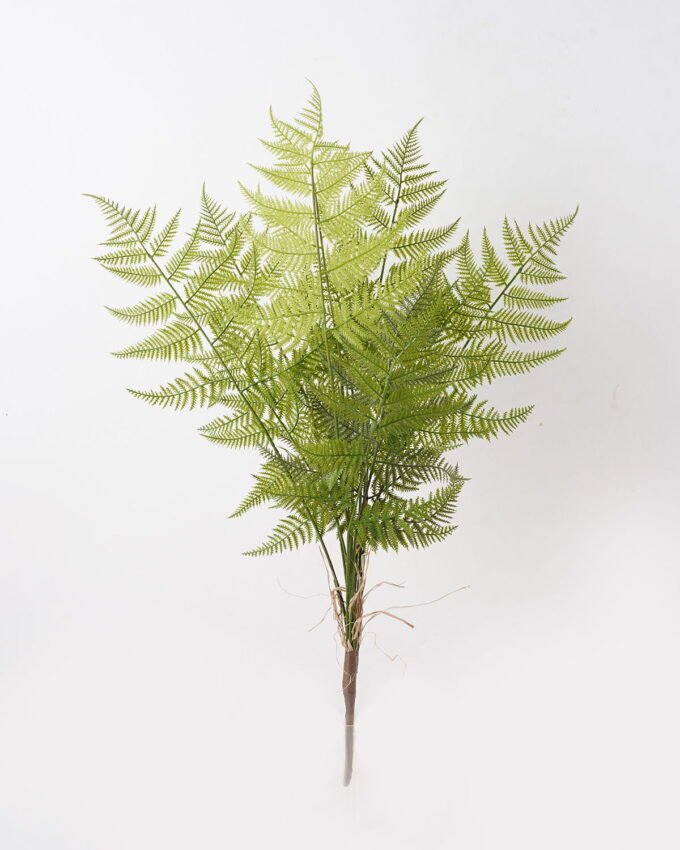 Artificial Plant 55*55*92cm Asplenium laciniatum Don bush/12 lvs GS-72424012 2025Feb YeahFlower is one of Chinese leading OEM manufacturers and exporters , supplying the silk flowers, wholesale artificial trees