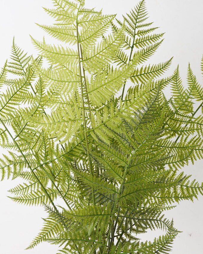 Artificial Plant 55*55*92cm Asplenium laciniatum Don bush/12 lvs GS-72424012 2025Feb YeahFlower is one of Chinese leading OEM manufacturers and exporters , supplying the silk flowers, wholesale artificial trees