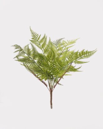 Artificial Plant 40*40*53cm Asplenium laciniatum Don bush/7 lvs GS-72424013 2025Feb YeahFlower is one of Chinese leading OEM manufacturers and exporters , supplying the silk flowers, wholesale artificial trees Artificial Plant 40*40*53cm Asplenium laciniatum Don bush/7 lvs GS-72424013 2025Feb YeahFlower is one of Chinese leading OEM manufacturers and exporters , supplying the silk flowers, wholesale artificial trees