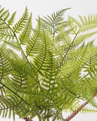 Artificial Plant 40*40*53cm Asplenium laciniatum Don bush/7 lvs GS-72424013 2025Feb YeahFlower is one of Chinese leading OEM manufacturers and exporters , supplying the silk flowers, wholesale artificial trees Artificial Plant 40*40*53cm Asplenium laciniatum Don bush/7 lvs GS-72424013 2025Feb YeahFlower is one of Chinese leading OEM manufacturers and exporters , supplying the silk flowers, wholesale artificial trees