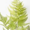 Artificial Plant 40*40*53cm Asplenium laciniatum Don  bush/7 lvs GS-72424013 2025Feb YeahFlower is one of Chinese leading OEM manufacturers and exporters , supplying the silk flowers, wholesale artificial trees