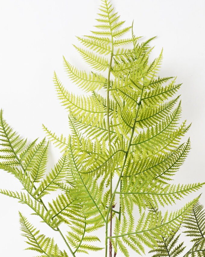 Artificial Plant 40*40*53cm Asplenium laciniatum Don  bush/7 lvs GS-72424013 2025Feb YeahFlower is one of Chinese leading OEM manufacturers and exporters , supplying the silk flowers, wholesale artificial trees