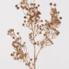 Artificial Plant 14*14*69cm Babysbreath*3 single stem GS-51624047 2025Jan YeahFlower is one of Chinese leading OEM manufacturers and exporters , supplying the silk flowers, wholesale artificial trees