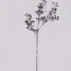 Artificial Plant 25*25*69cm Babysbreath*3 single stem GS-51624048 2025Jan 3,000+ sqm showroom with thousands of artificial flowers, plants & trees ready for global sourcing.