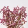 Artificial Plant 20*20*34cm Babysbreath*5 bundle GS-51624020-Z1 2025Jan YeahFlower is one of Chinese leading OEM manufacturers and exporters , supplying the silk flowers, wholesale artificial trees