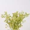 Artificial Plant 20*20*34cm Babysbreath*5 bundle GS-51624020 2025Jan YeahFlower is one of Chinese leading OEM manufacturers and exporters , supplying the silk flowers, wholesale artificial trees