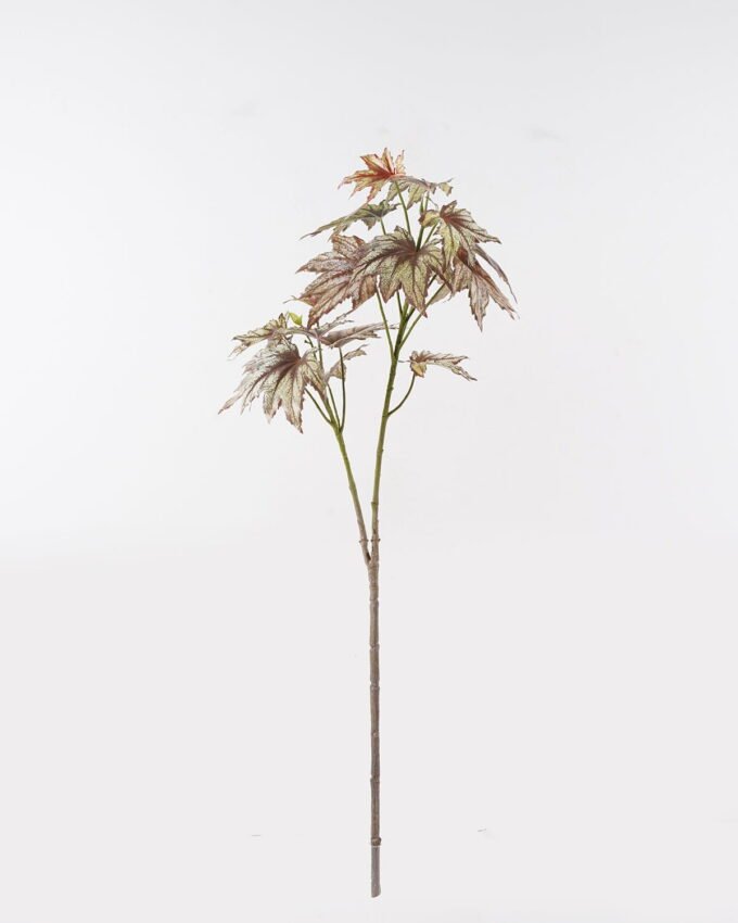 Artificial Plant Begonia 2 single stem 17 lvs GS-14524070 Artificial Plant 42*42*117cm Begonia *2 single stem/17 lvs GS-14524070 2024Dec YeahFlower is one of Chinese leading OEM manufacturers and exporters , supplying the silk flowers, wholesale artificial trees