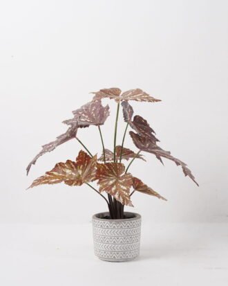Artificial Plant 36*36*38cm  Begonia in Cement pot/9 lvs GS-14524013 2024Dec YeahFlower is one of Chinese leading OEM manufacturers and exporters , supplying the silk flowers, wholesale artificial trees