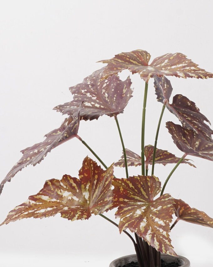 Artificial Plant 36*36*38cm  Begonia in Cement pot/9 lvs GS-14524013 2024Dec YeahFlower is one of Chinese leading OEM manufacturers and exporters , supplying the silk flowers, wholesale artificial trees